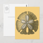Gold Sand Dollar Postkarte (Vorne/Hinten)