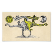 Gold & Silver Dragon Symbol Fotodruck (Vorne)