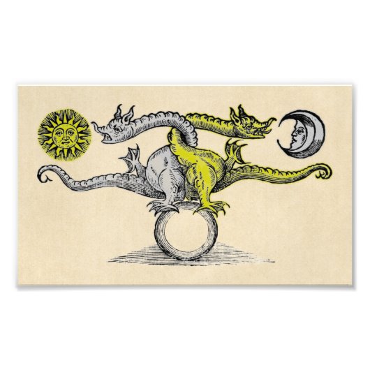 Gold & Silver Dragon Symbol Fotodruck (Vorne)