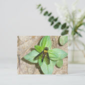Gold Snipe Fly Postcard Postkarte (Stehend Vorderseite)
