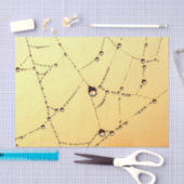 Gold spiderweb elegant seidenpapier (Handwerk)