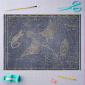 Gold Star Map Series Design 10 Seidenpapier (Basteln)