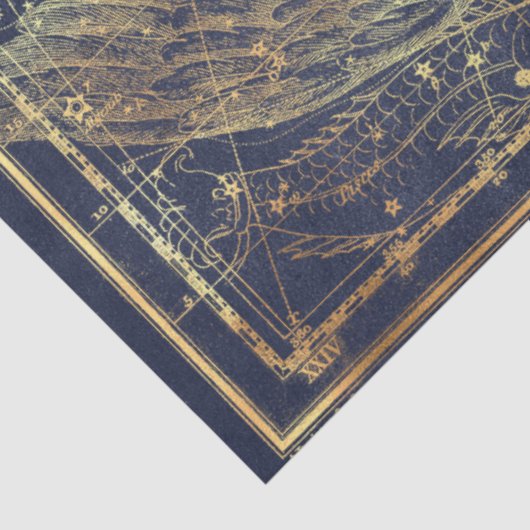 Gold Star Map Series Design 13 Seidenpapier (Ausschnitt)