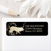 Gold Star Swirl Border Collie (Insitu)