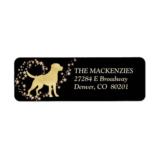 Gold Star Swirl Labrador Retriever Dog (Vorne)