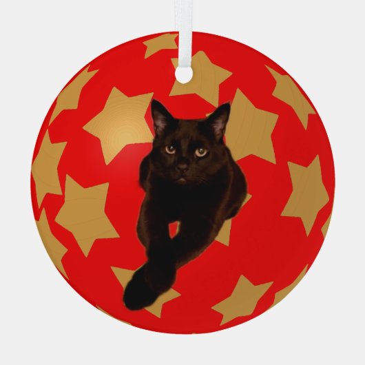Gold Stars auf Rot mit Black Cat's Foto Ornament Aus Glas (Rückseite)