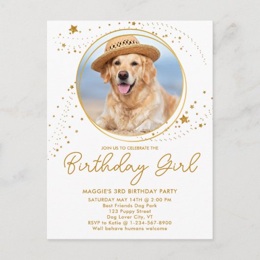 Gold Stars Personalisiertes Tier Foto Hund Geburts Einladungspostkarte (Vorderseite)