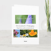 Gold Stars Weihnachtsfrieden Feiertagskarte (Rückseite)