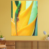 Gold Staub Day Gecko auf einer Heliconia Leinwanddruck (Insitu (Wohnzimmer))