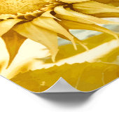Gold Sunflowers After Van Gogh Poster (Ecke)