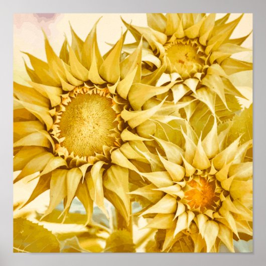 Gold Sunflowers After Van Gogh Poster (Vorne)