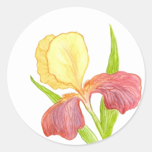 Gold Top Iris Aufkleber (Vorderseite)