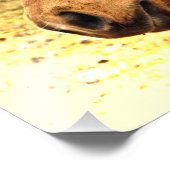 Gold und Brown Horns in Sun Animal Foto Print (Ecke)