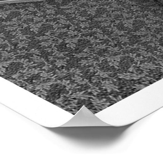 Gold- und Silberäpfel auf einem Silbermedchen Poster (Ecke)