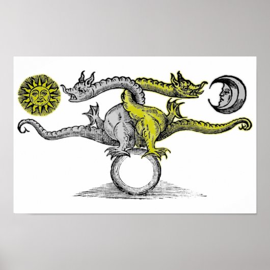 Gold und Silberdrachen Poster (Vorne)