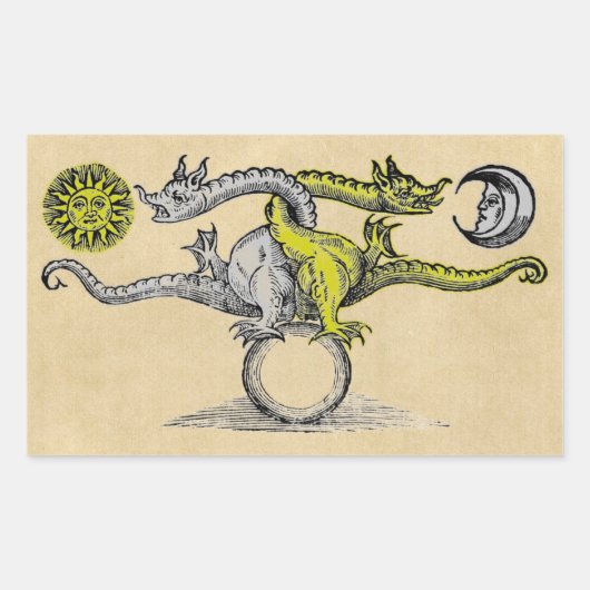 Gold- und Silberdrachen-Symbol Rechteckiger Aufkleber (Vorderseite)