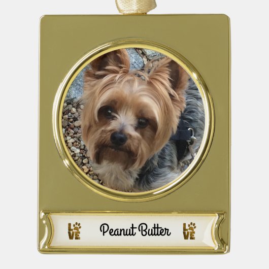 Gold Weihnachtsschmuck mit Haustiernamensbanner Banner-Ornament Gold (Vorderseite)