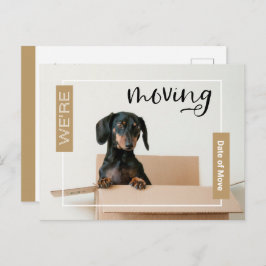 Gold Wir bewegen Dackel Hund in Box Postcard Postkarte