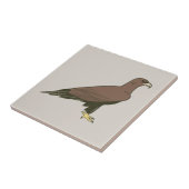 Goldadler Fliese (Seite)