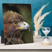 Goldadler Fotoplatte (Seite)