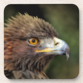 Goldadler Getränkeuntersetzer (Vorderseite)