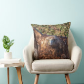 Goldadler Kissen (Stuhl )