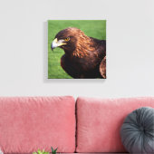 Goldadler Leinwanddruck (Insitu (Wohnzimmer))