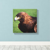 Goldadler Leinwanddruck (Insitu (Holzboden))