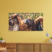 Goldadler Leinwanddruck (Insitu (Wohnzimmer))