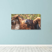 Goldadler Leinwanddruck (Insitu (Holzboden))