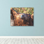 Goldadler Leinwanddruck (Insitu (Holzboden))