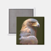 Goldadler Magnet (Vorderseite/Rückseite)