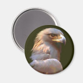 Goldadler Magnet (Vorderseite/Rückseite)