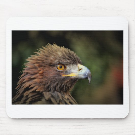 Goldadler Mousepad (Vorne)