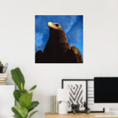 Goldadler Poster (Heimbüro)