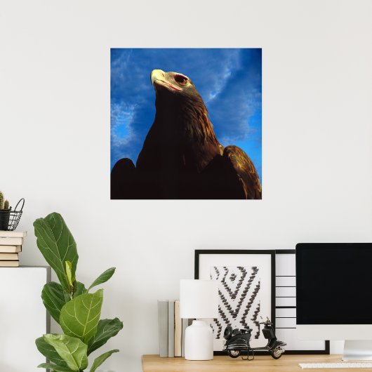 Goldadler Poster (Heimbüro)