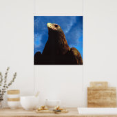 Goldadler Poster (Küche)