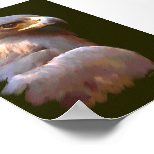 Goldadler Poster (Ecke)