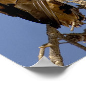 Goldadler Poster (Ecke)