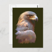 Goldadler Postkarte (Vorne/Hinten)