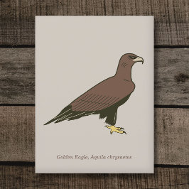 Goldadler Postkarte