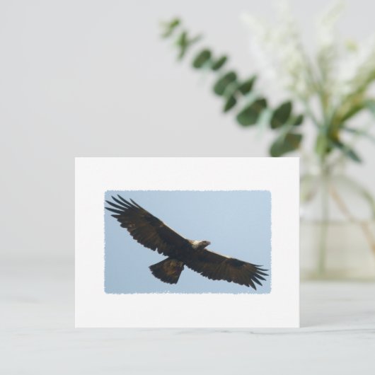 Goldadler Postkarte (Stehend Vorderseite)