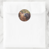 Goldadler Runder Aufkleber (Tasche)