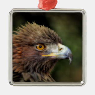 Goldadler Silbernes Ornament