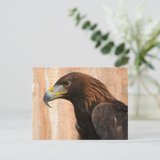 Goldadler (Vogel) Postkarte (Stehend Vorderseite)