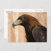 Goldadler (Vogel) Postkarte (Vorne/Hinten)