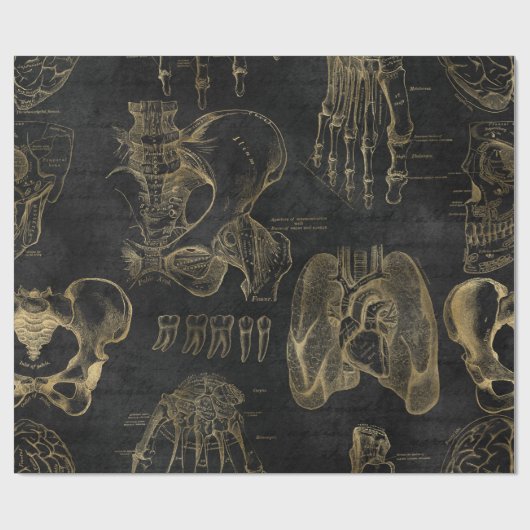 Goldanatomie-Zeichnungen auf Schwarz Geschenkpapier (Flach)