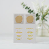 Goldäpfel in Silberbildern, Lesezeichen Postkarte (Stehend Vorderseite)