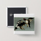 Goldaugenente Button (Vorne & Hinten)