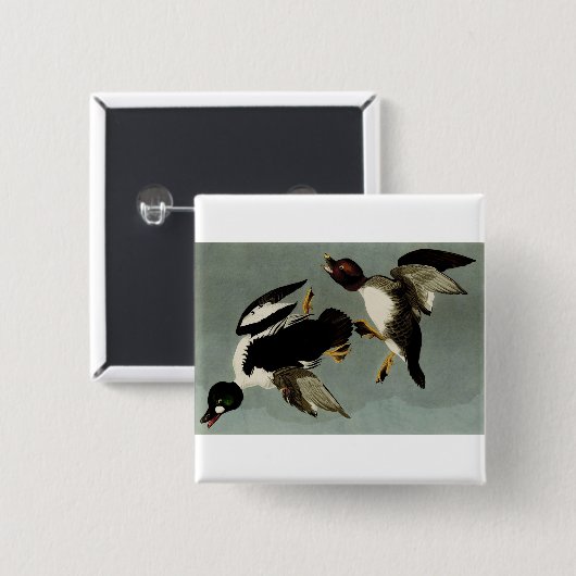 Goldaugenente Button (Vorne & Hinten)